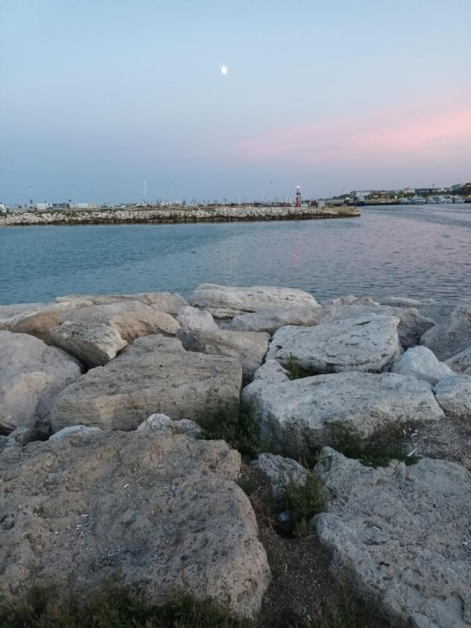 Bouganville A Apartament B&B Civitanova Marche Dış mekan fotoğraf